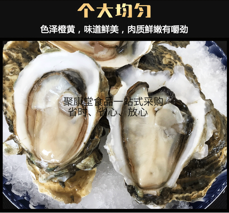 16斤商用餐饮用半壳生蚝 产地乳山冷冻生蚝120头冷冻牡蛎烧烤新鲜生蚝