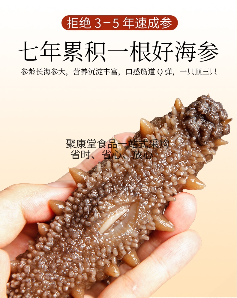 野生海参即食大连海参鲜活辽参海生刺参单个装礼盒速食